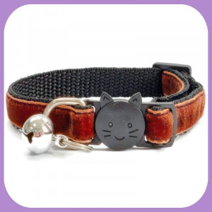 Collar-178